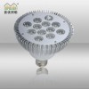 S(chng)l(f)  10w LED